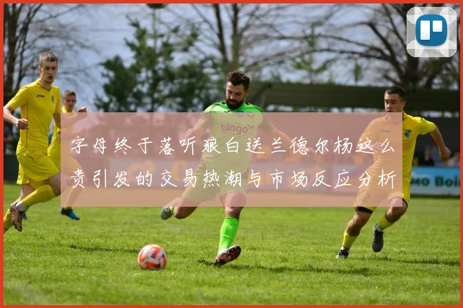 字母终于落听狼白送兰德尔杨这么贵引发的交易热潮与市场反应分析