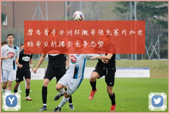 摩洛哥夺非洲杯概率领先塞内加尔赔率分析揭示竞争态势